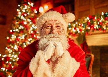 Merry Christmas and Happy New Year 2025! 19 Merry Christmas and Happy New Year 2025!